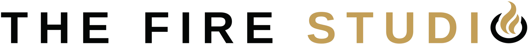 The Fire Studio Logo